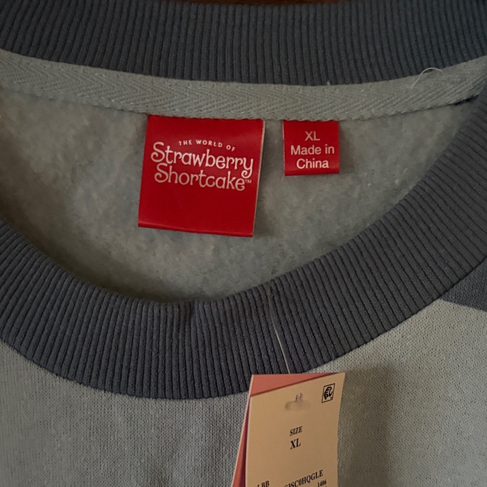 Striped Blue Cropped Sweatshirt with Strawberry Shortcake Design - Picture 3 of 7